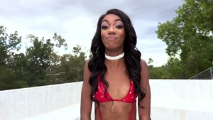 Prince & Jax Breed Small-Titted Ebony Newbie